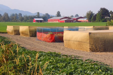 Использование фасадных сеток в сельском хозяйстве
